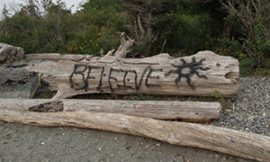 Beach Vandalism